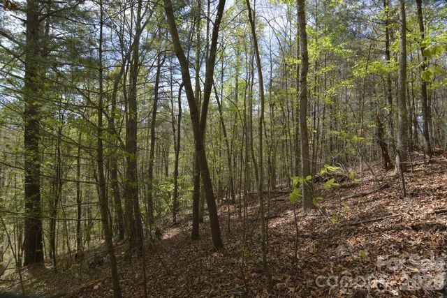 00 Garnet Drive, Leicester, NC 28748