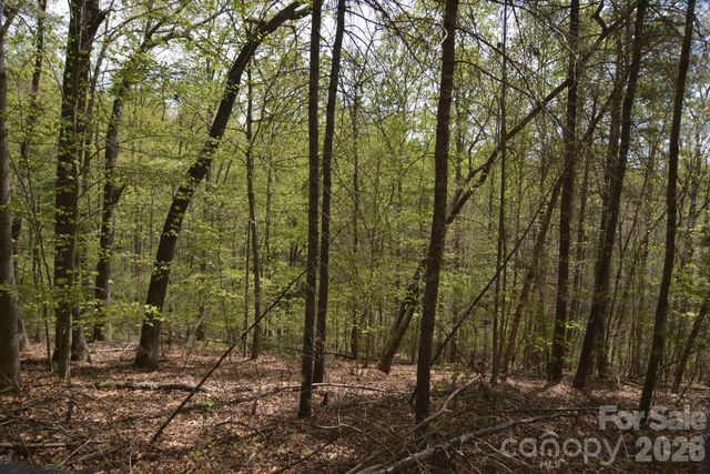 00 Garnet Drive, Leicester, NC 28748
