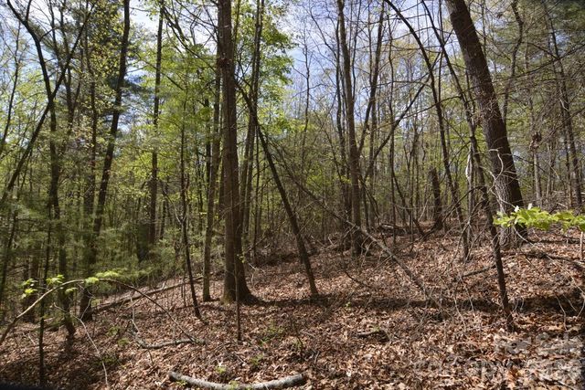 00 Garnet Drive, Leicester, NC 28748
