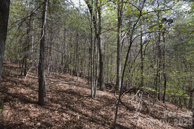 00 Garnet Drive, Leicester, NC 28748