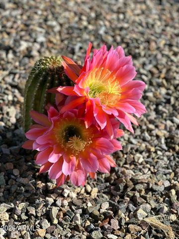 19607 W BADGETT Lane, Litchfield Park, AZ 85340