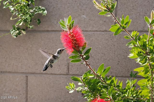 19607 W BADGETT Lane, Litchfield Park, AZ 85340