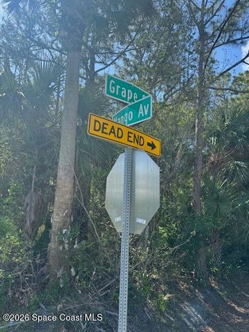 0 Grape And Mango Street, Cocoa, FL 32926