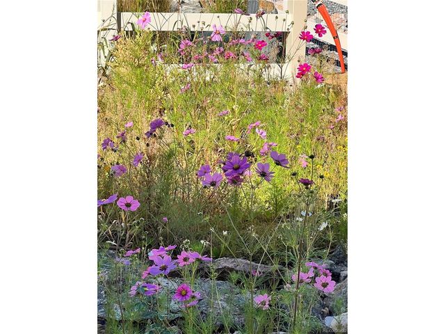 4647 Gray Wolf Ln, Castle Rock, CO 80104