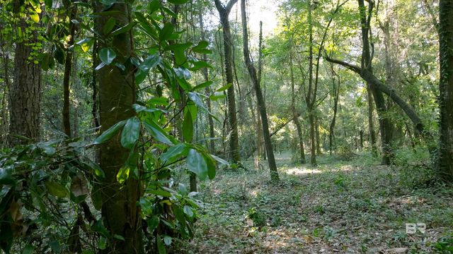 0 Old County Road, Daphne, AL 36526