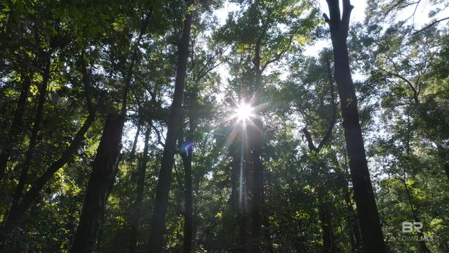 0 Old County Road, Daphne, AL 36526