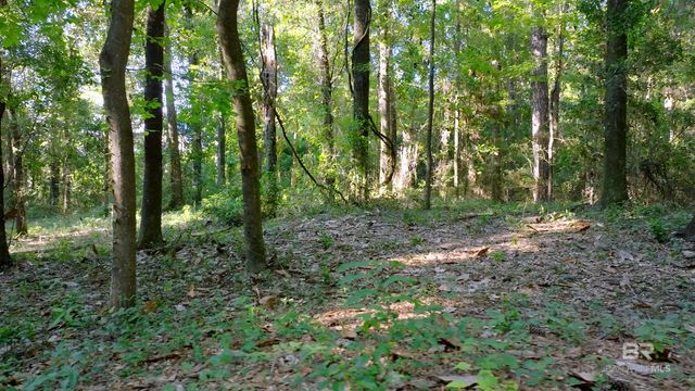 0 Old County Road, Daphne, AL 36526