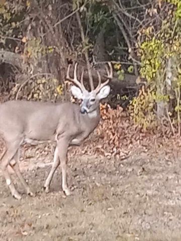 120 Hwy 127, Warsaw, KY 41095