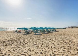 2899 Collins Ave 1638, Miami Beach, FL 33140