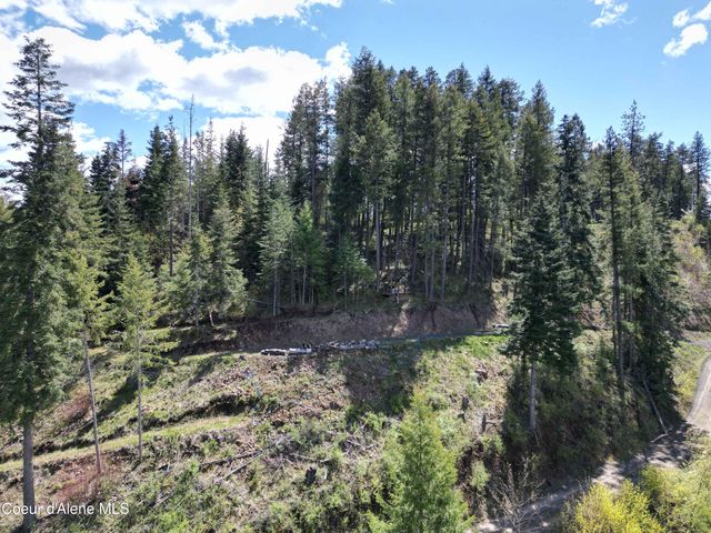 Lot 4 E Cliff VIew Drive, Harrison, ID 83833