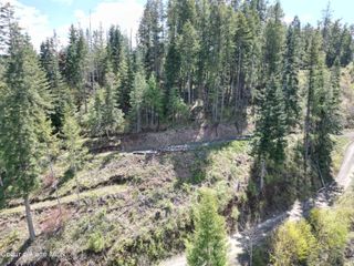 Lot 4 E Cliff VIew Drive, Harrison, ID 83833