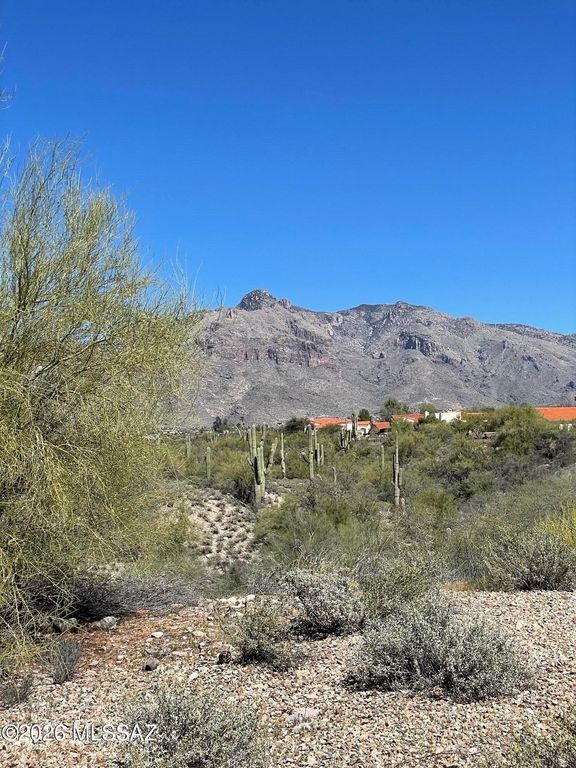 231 E Shadow Bluff Place, Tucson, AZ 85704