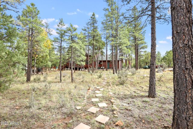 2812 HIDDEN CREEK Circle, Happy Jack, AZ 86024