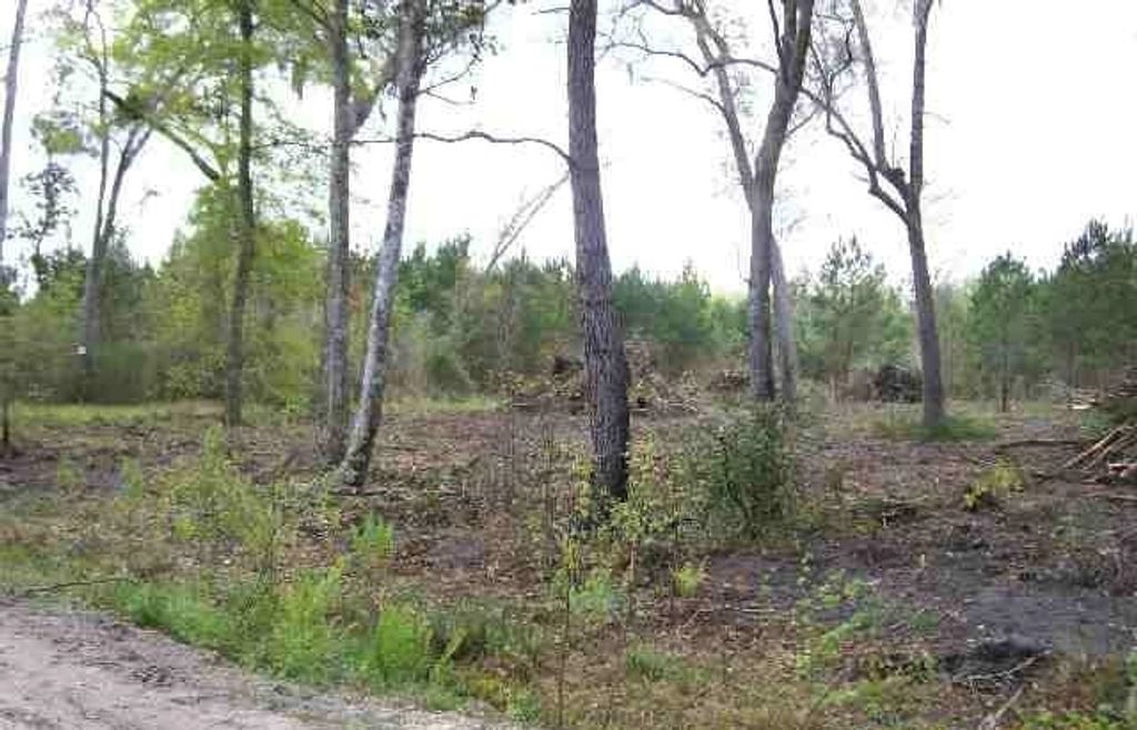 Vista Road, Monticello, FL 32344