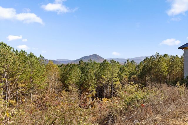 161155 Cherokee Ridge Drive, Ocoee, TN 37361