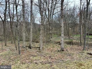 TIMBERLAKE ESTATES - LOT 24, New Creek, WV 26743