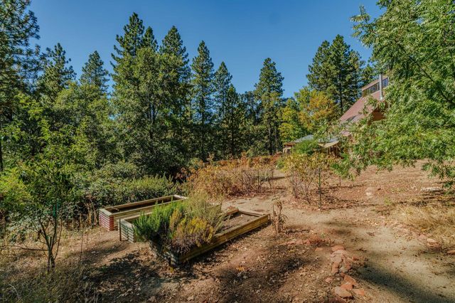 2400 Bald Mountain Rd, West Point, CA 95255