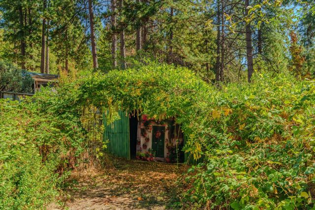 2400 Bald Mountain Rd, West Point, CA 95255