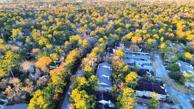 3500 Tangle Brush Drive 1, The Woodlands, TX 77381