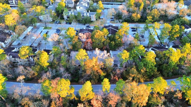 3500 Tangle Brush Drive 1, The Woodlands, TX 77381