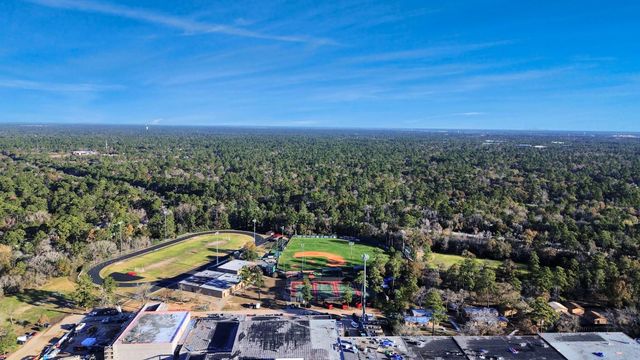 3500 Tangle Brush Drive 1, The Woodlands, TX 77381