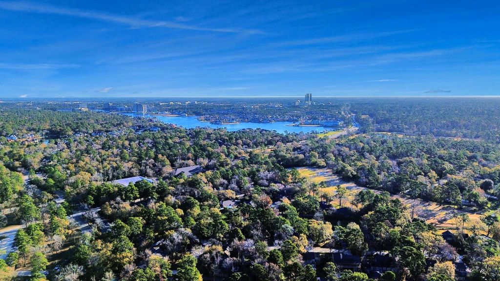 3500 Tangle Brush Drive 1, The Woodlands, TX 77381