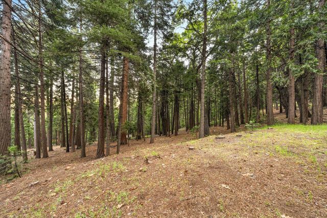 6742 Diamond Dr, Pollock Pines, CA 95726
