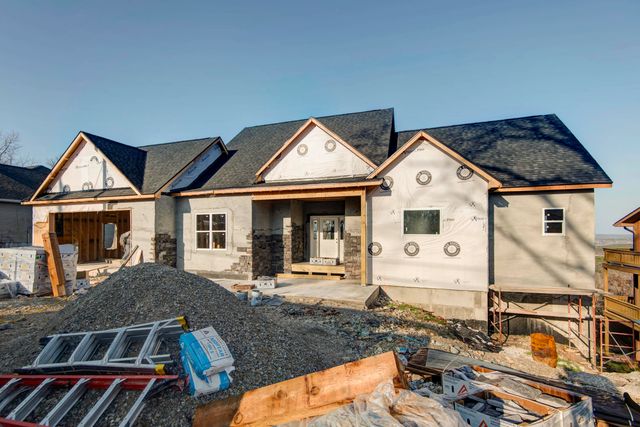 1125 Skyview Drive, Branson, MO 65616