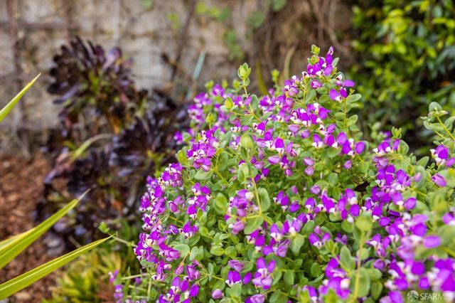 262 Henry Street, San Francisco, CA 94114