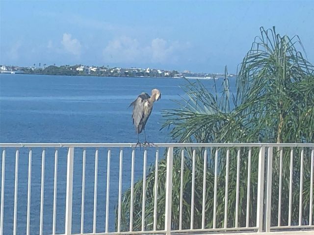 100 PIERCE STREET 305, Clearwater, FL 33756