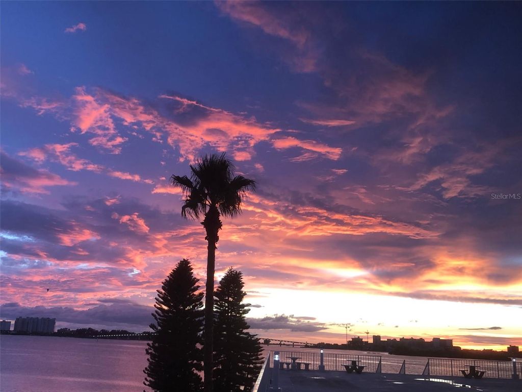 Image 3 of property listing at 100 PIERCE STREET 305, Clearwater, FL 33756