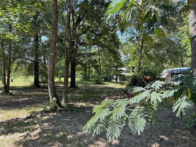 181 Willow Oak Lane, Point Blank, TX 77364