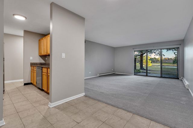 1919 Prairie Square 32, Schaumburg, IL 60173