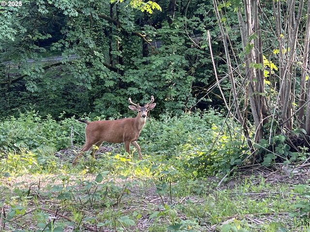 0 Nw LAIDLAW Rd, Portland, OR 97229