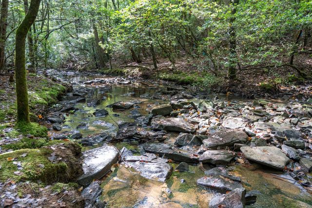 238 Mountain Laurel, Monteagle, TN 37356