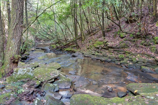 238 Mountain Laurel, Monteagle, TN 37356