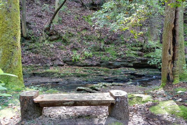 238 Mountain Laurel, Monteagle, TN 37356