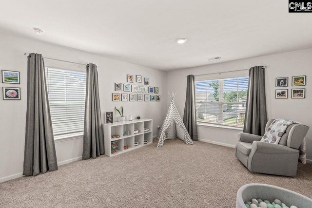 446 Stone Hollow Drive, Irmo, SC 29063