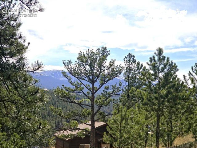 226 Hall Road, Bailey, CO 80421