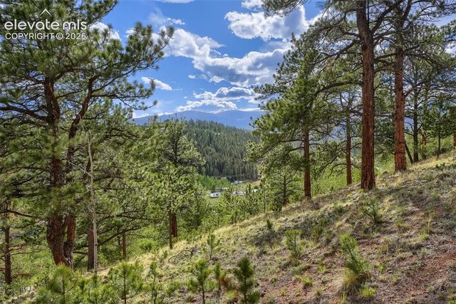 226 Hall Road, Bailey, CO 80421