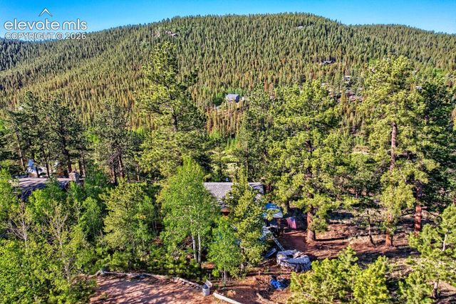226 Hall Road, Bailey, CO 80421