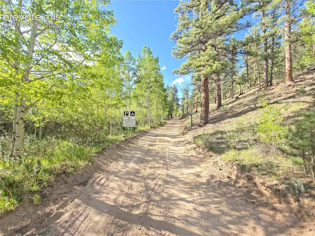 226 Hall Road, Bailey, CO 80421