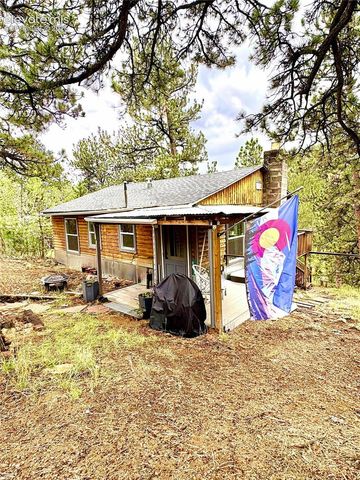 226 Hall Road, Bailey, CO 80421