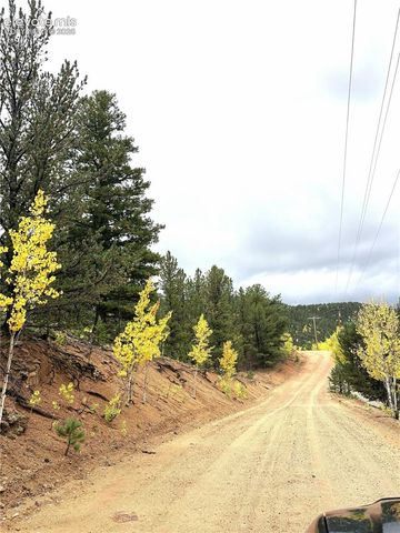 226 Hall Road, Bailey, CO 80421