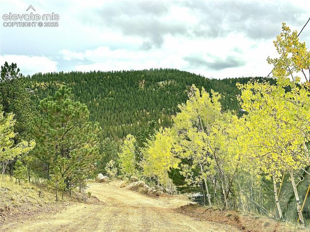 226 Hall Road, Bailey, CO 80421