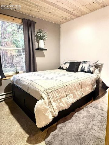 226 Hall Road, Bailey, CO 80421
