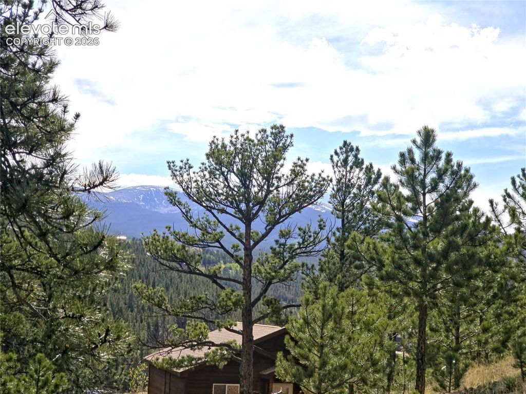 226 Hall Road, Bailey, CO 80421 — photo 3