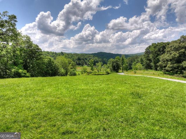 246 Bearden Farm Overlook, Blue Ridge, GA 30513