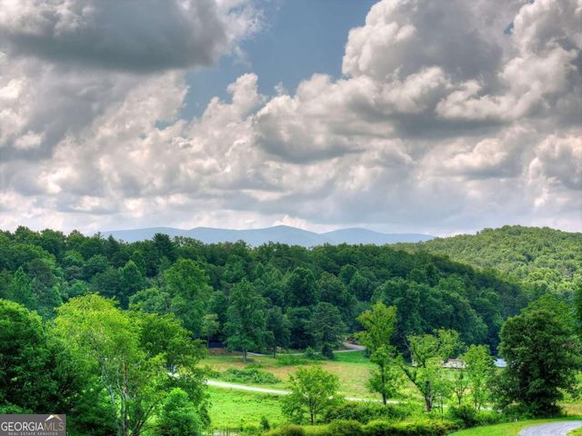 246 Bearden Farm Overlook, Blue Ridge, GA 30513