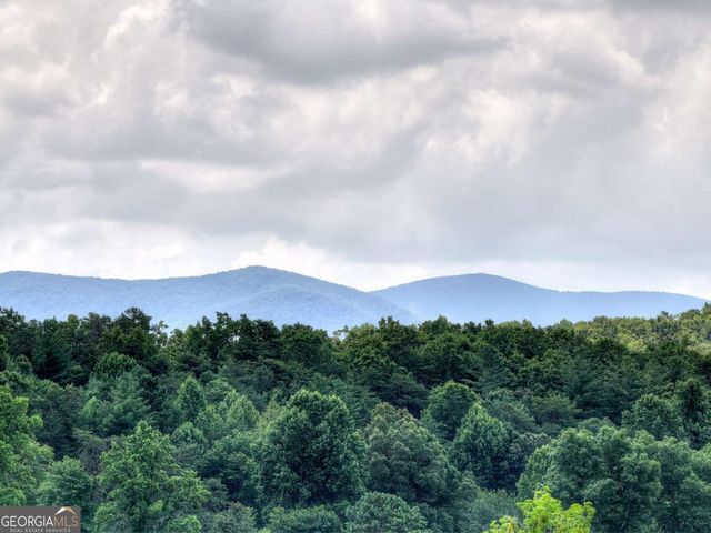 246 Bearden Farm Overlook, Blue Ridge, GA 30513